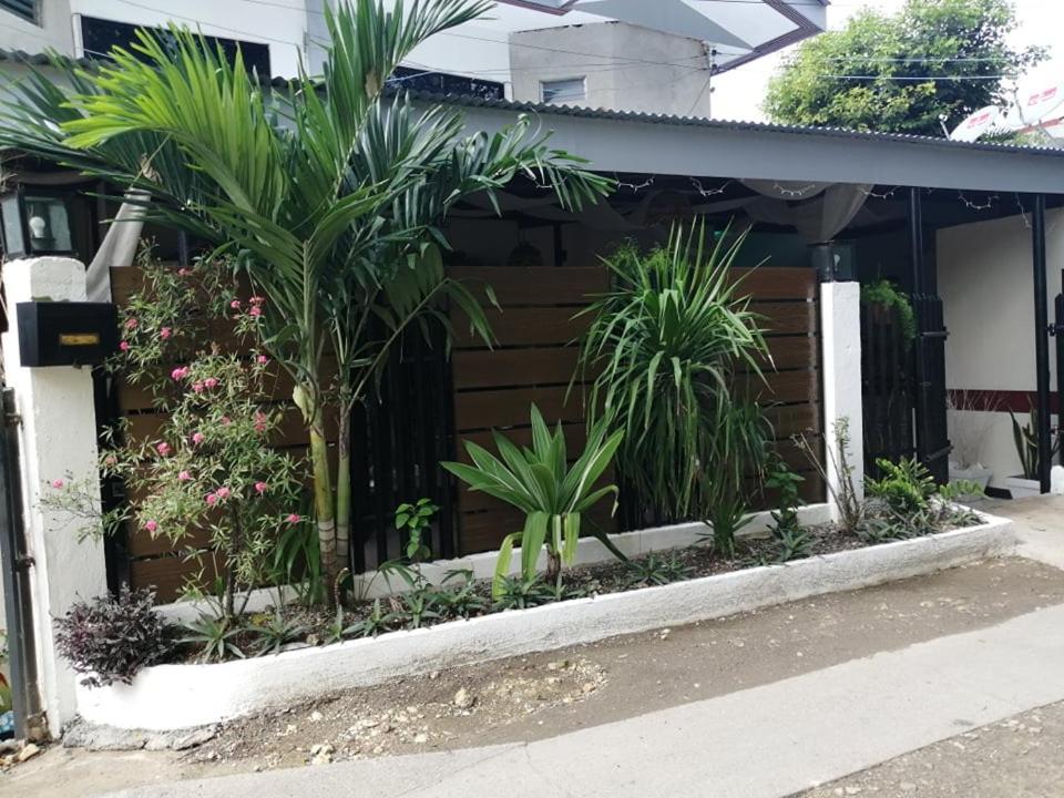 Cozy Inn Mactan 막탄 외부 사진